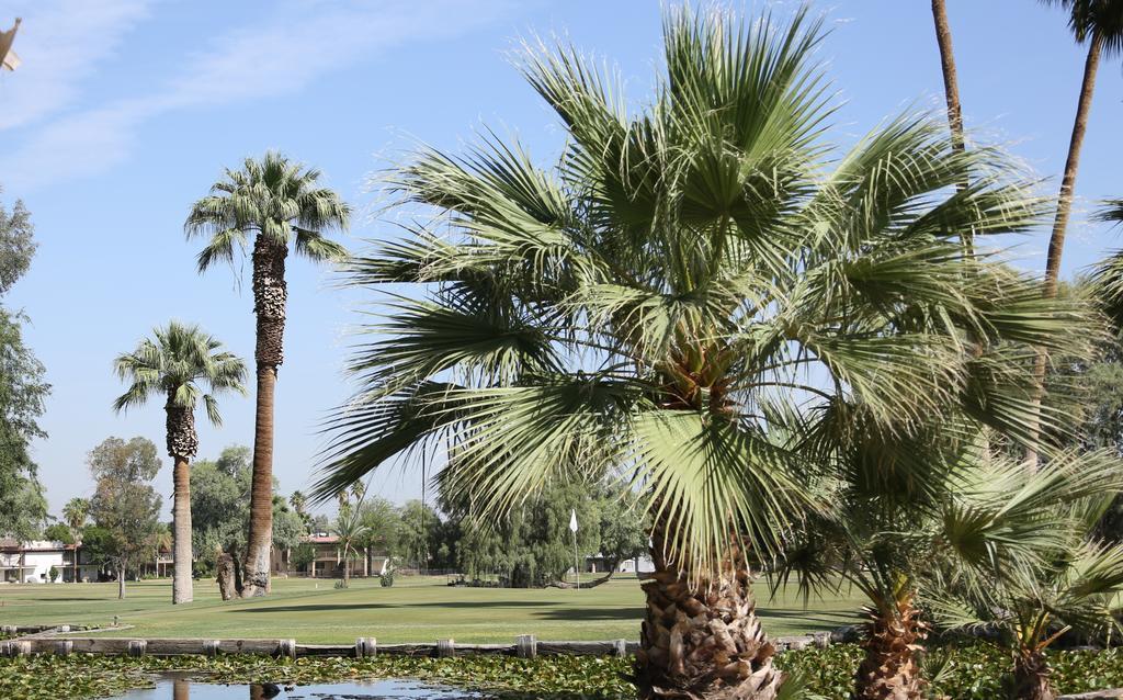 Holtville Barbara Worth Golf Resort מראה חיצוני תמונה